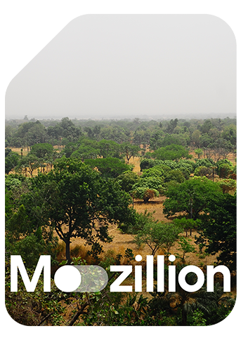 1765556145_Mozillion Travel SIM Cover - Burkina Faso.png